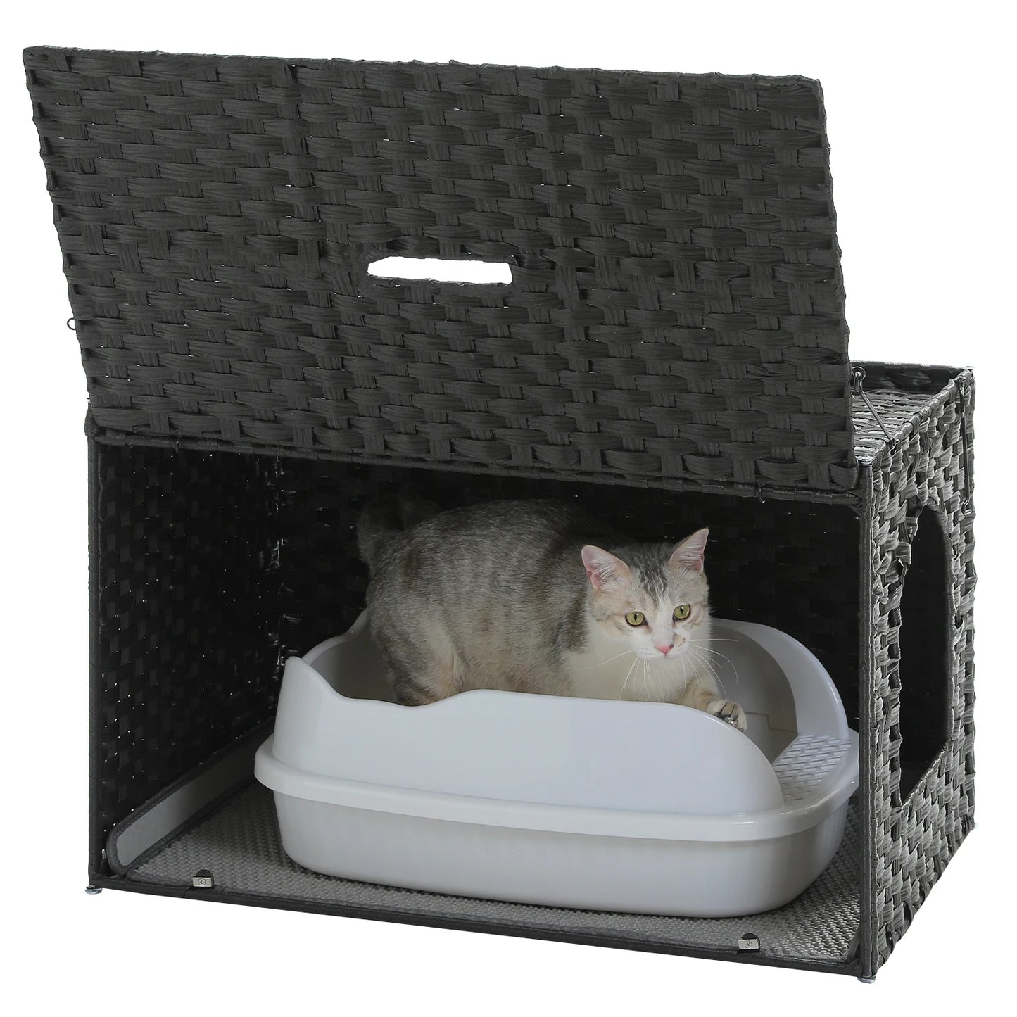 PAWZ Road Rattan Cat Litter Box Enclosure With Door