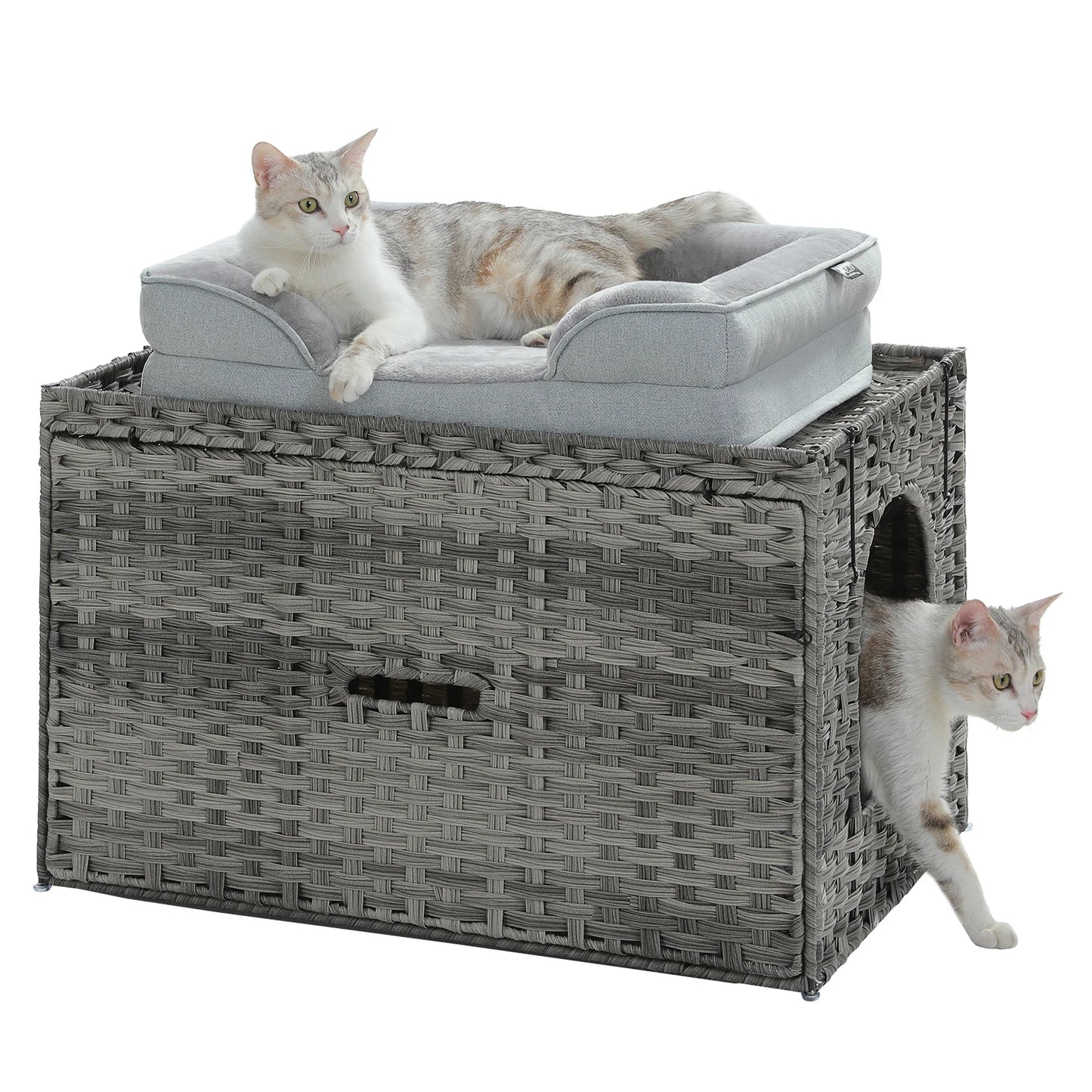 PAWZ Road Rattan Cat Litter Box Enclosure With Door