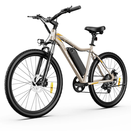5TH WHEEL AB17 Electric Bike 700W Peak Motor 23 MPH