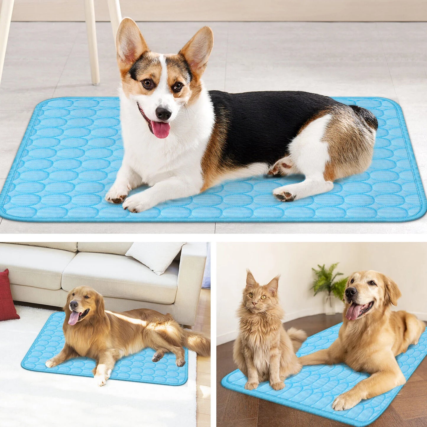 Zhejiang Pet Cooling Mat for Dogs and Cats Summer Comfort