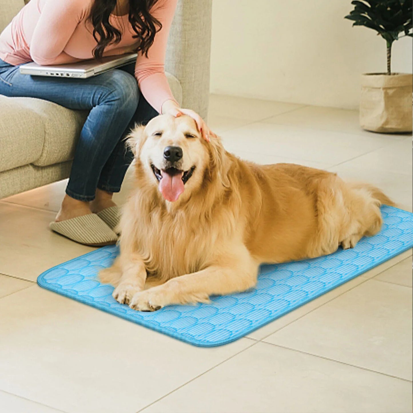 Zhejiang Pet Cooling Mat for Dogs and Cats Summer Comfort